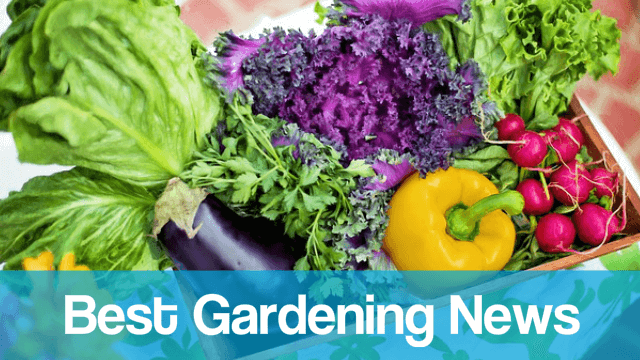 read the best gardening news