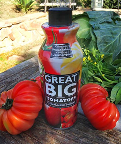 best liquid fertilizer for tomatoes