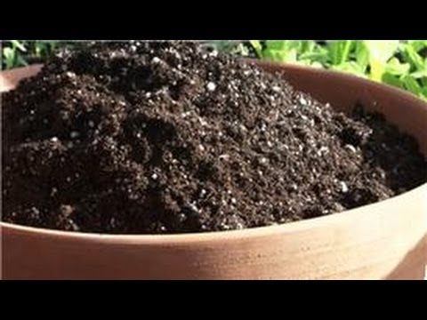 Indoor Gardening: How Do I Sterilize House Plants Potting Soil